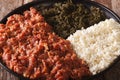 Ethiopian cuisine: kitfo with greens and cheese ayibe macro. horizontal