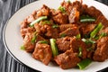 Ethiopian cuisine Tibs fried beef meat in a spicy vegetable sauce close-up in a plate. Horizontal