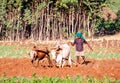 Ethiopian farmer