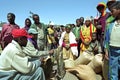 Ethiopian farmers sell grain to market merchant