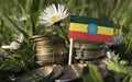 Ethiopian flag with stack of money coins with grass