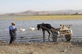 Ethiopian horse carriage