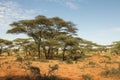 Ethiopian landscape