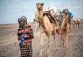 Ethiopian man with laden camel caravan along the salt flats of Erta Ala