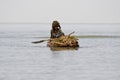 Ethiopian man transports goods in a papyrus boat. Royalty Free Stock Photo