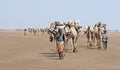 Ethiopian salt caravan