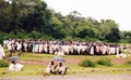 Ethiopian wedding Royalty Free Stock Photo