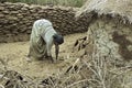 Ethiopian woman makes from cow dung fuel disks Royalty Free Stock Photo