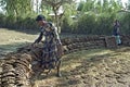 Ethiopian woman making fuel disks from cow dung