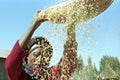 Ethiopian woman separate chaff from the grain Royalty Free Stock Photo