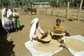 Ethiopian women separate chaff from the grain Royalty Free Stock Photo