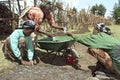 Ethiopian women work in reforestation project Royalty Free Stock Photo