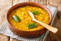 Ethiopian Yellow Split Peas Curry Kik Alicha closeup in the bowl. Horizontal
