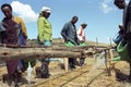 Ethiopians watering saplings with watering cans Royalty Free Stock Photo