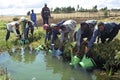 Ethiopians working together in tree nursery Royalty Free Stock Photo