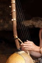 Ethnic african ten strings instrument