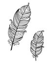 Ethnic bird feathers in boho style. Black and white inc vector hand drawn, tribal gipsy concept.