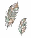 Ethnic bird feathers in boho style. Pastel brown colors vector hand drawn, tribal gipsy concept.