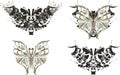 Ethnic butterfly wings on white - four options Royalty Free Stock Photo