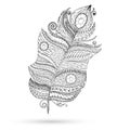 Ethnic doodle feather on white background.