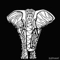 Ethnic elephant.for cards, design.hand drawn