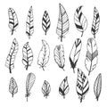 Ethnic feather vector set. Hand drawn collection