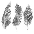 Ethnic feathers. Tribal Feathers Vintage Pattern. Hand Drawn Doodles illustration Royalty Free Stock Photo