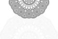 Ethnic floral mandalas, doodle background circles Royalty Free Stock Photo