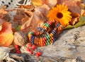 Ethnic handmade bone bracelet with calendula Royalty Free Stock Photo