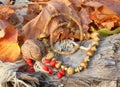 Ethnic handmade bone necklace Royalty Free Stock Photo