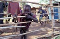 An ethnic Karamojong boy, Uganda