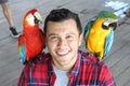 Ethnic man interacting with two gorgeous macaws Royalty Free Stock Photo