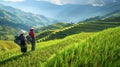 Ethnic minority women walking on rice terraces in mu cang chai, yen bai, vietnam