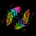 Ethnic ornament colored bird feather. For design of T-shirts, wallpapers, engraving. Royalty Free Stock Photo