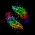Ethnic ornament colored bird feather. For design of T-shirts, wallpapers, engraving Royalty Free Stock Photo