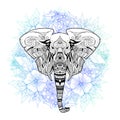 Ethnic ornamental elephant head on floral background, Royalty Free Stock Photo