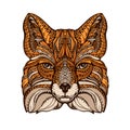 Ethnic ornamented fox. Hand drawn vector illustration with decorative elements