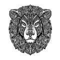 Ethnic ornamented lion. Hand drawn vector illustration with floral elements