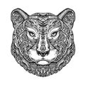 Ethnic ornamented tiger, puma, panther, leopard or jaguar. Hand drawn vector illustration with floral elements