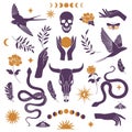 Ethnic patch. Boho silhouette symbols. Snake and skull. Bird feather. Hand with plant branch. Moth on flower. Tarot and