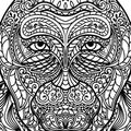 Ethnic patterned ornate hand drawn head of monkey. Abstract card with detailed snout. Black and white outline doodle background. Royalty Free Stock Photo