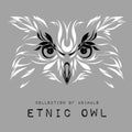 Ethnic patterned white head of owl on the grey background / african / indian / totem / tattoo design. Use for print, posters, t-sh