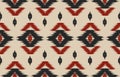 Ikat ethnic seamless pattern. Royalty Free Stock Photo