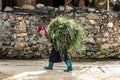 Ethnic woman carrying grass