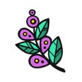 ethnically stylized bright colored branch with buds, vector