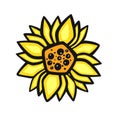 ethnically stylized bright orange sunflower, vector