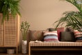 Ethno composition of living room interior with couch, patterned pillows, rattan sideboard, braided rug, fern, plants in flowerpots