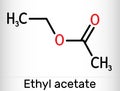 Ethyl acetate, ethyl ethanoate, C4H8O2 molecule. It is acetate ester formed between acetic acid and ethanol. Skeletal chemical