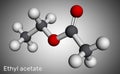 Ethyl acetate, ethyl ethanoate, C4H8O2 molecule. It is acetate ester formed between acetic acid and ethanol. Molecular model. 3D