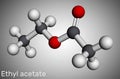 Ethyl acetate, ethyl ethanoate molecule. It is acetate ester, polar aprotic solvent, additional additive E1504. Molecular model.